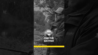 PERCH FISHING UK TIPS BY ASH COSTA  FIND THE BAITFISH perchfishinguk lurefishinguk [upl. by Atinuaj]