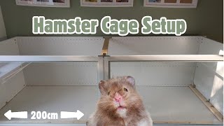 A NEW Hamster Cage Setup in a 6ft Enclosure [upl. by Teressa]