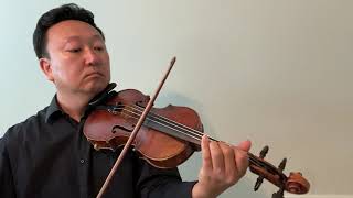 Video Games  Lana Del Rey  William Yun Violin [upl. by Oika]