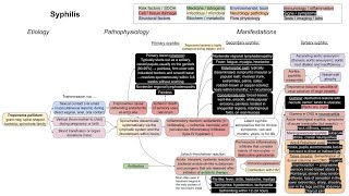 Syphilis mechanism of disease [upl. by East641]