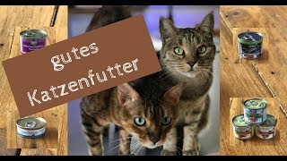 Was ist gutes Katzenfutter  welches Nassfutter fressen Coco und Nanju gerne [upl. by Ahsienot]