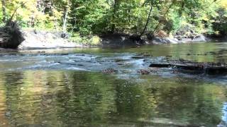 Hogback Ridge Park  Lake Metroparks  Madison Ohio [upl. by Sharai]