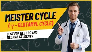 Meister cycle  Gamma glutamyl Cycle  biochemistry [upl. by Chaddy438]