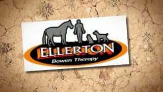 Remedial Massage Bendigo  Ellerton Bowen Therapy [upl. by Mani]