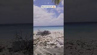 Exotic Bonaire Your Quick Dip into Paradise traveldiaries [upl. by Hcra]