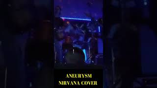 Aneurysm Nirvana Cover  Knights Pub  Sliver [upl. by Lobel]