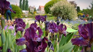 Wrocławski Ogród Botaniczny otwarty Dyrektor apeluje o ostrożność „Fakty” 07052020 [upl. by Yelkao]