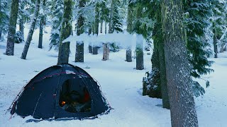 Father Son Winter Hot Tent Camping In Old Growth Forest [upl. by Demodena]