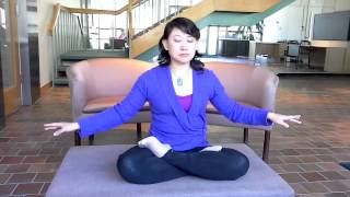 Falun Gong Meditation Demo [upl. by Dimitri]