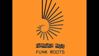 Funkrudin Krcic  Funk Roots [upl. by Jocelyn]