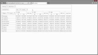 DevExpress ASPNET Pivot Grid Getting Started [upl. by Annasus263]