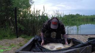 Carp Fishing  Etang De Bows May 16 Pt 3 [upl. by Sanger]