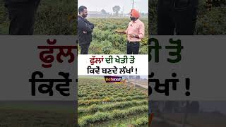 Flower ਦੀ ਖੇਤੀ ਤੋਂ ਵੱਧ ਕਮਾਈ [upl. by Edlun]