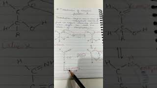 Lecture  37 Mechanism of osazone formation by Ms Priti Paranjiya [upl. by Dorraj]