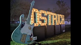 Ostrich Festival  Tumbleweed Park Chandler AZ [upl. by Vite]