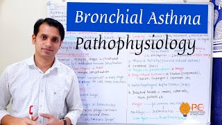 Bronchial Asthma Part 1 Pathophysiology of Asthma [upl. by Augusta]