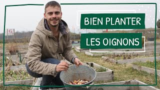 Bien planter les oignons [upl. by Yelrebmyk]