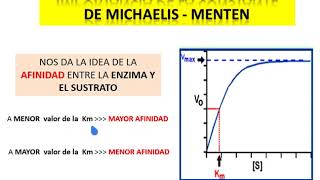 CINÉTICA ENZIMATICA ecuación de michaelis Km [upl. by Rochemont]