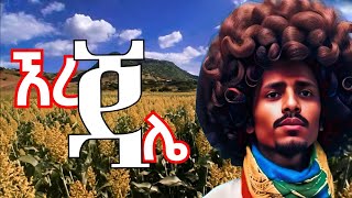 ኧረ ጎራው ኧረ ደመንማኔ  መሳጭ ቀረርቶ  kererto  fukera  shilela kererto aynmedia [upl. by Assela]