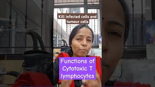 Cytotoxic T lymphocytes functions immune system physiology class mbbs1styear physiologylectures [upl. by Charity426]