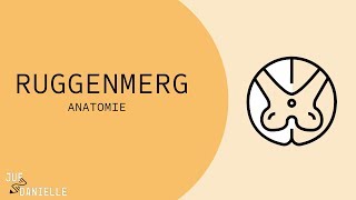 Ruggenmerg [upl. by Grimbald]