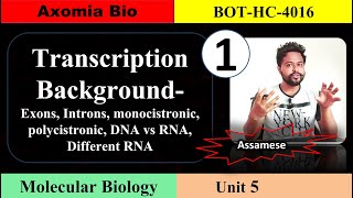 Transcription background cistron DNARNA  Unit 5  Class 1  Axomia Botany  BOTANY MAJOR GU [upl. by Enhpad360]