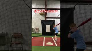 First Thoughts on the 2024 8 Demarini Zoa with Junior Bat Bro Brayden batreview [upl. by Ojybbob]