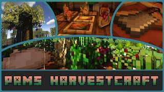 Minecraft  Pams Harvestcraft 2 Mod Showcase Forge 1165 [upl. by Yreffeg397]