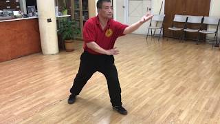 Yang Fukui does Yang Cheng Fus 13 Original Postures [upl. by Asyla]