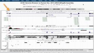 IIHG Intro to the UCSC Genome Browser  Part 1 of 5 [upl. by Eislek]