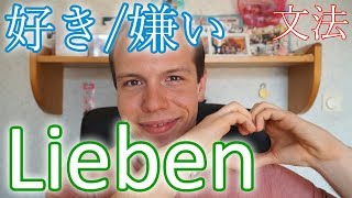 好き und 嫌い  Ich liebe xy und ich hasse xy 【Japanische Grammatik】 [upl. by Beghtol]