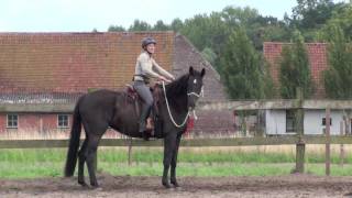 jong paard starten onder zadel met Parelli Natural Horsemanship [upl. by Tymothy]