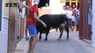 Toros de Sants de la Pedra 2012  La Vilavella Castellon Bous al carrer Toros FJGNtv [upl. by Atinihc]