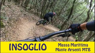 il flow trail perfetto INSOGLIO Monte Arsenti area Massa Marittima GR [upl. by Allicerp]