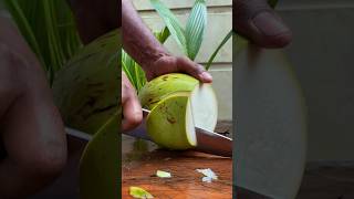 pure green coconut coconutcutting greencoconut [upl. by Dawaj279]