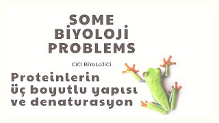 Proteinlerin 3 boyutlu yapısı ve Denaturasyonu [upl. by Madella]