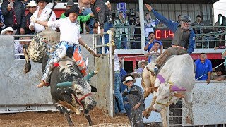 12 TORNEO NACIONAL DE TOROS DE REPAROS USA 2019 FORT WORTH TEXAS [upl. by Ariew]