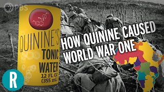 How Quinine Fights Malaria and How That Caused World War One [upl. by Enej]