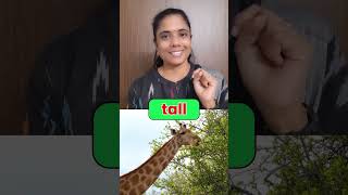 All words  Lets read  katralelithu katralelithuphonics learnenglish [upl. by Esertap]