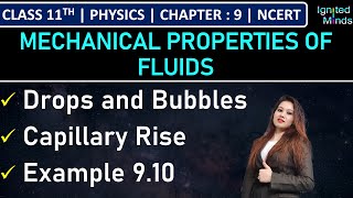 Class 11th Physics  Drops and Bubbles  Capillary Rise  Example 910  Chapter 9  NCERT [upl. by Bertolde216]