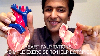 Heart Palpitations A simple exercise to help ectopic heart beats [upl. by Sone261]