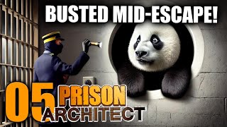 Escape Attempts Everywhere Can We Secure the Prison  Cub Correctional Ep 5  Prison Architect [upl. by Cand]