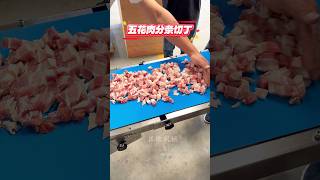 Fresh meat dicing machine [upl. by Teena308]