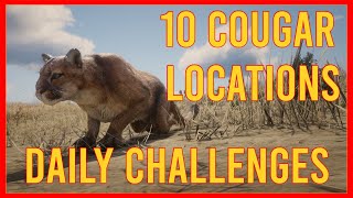 RDR2 Cougar Location  10 Spawn Points  Red Dead Online Daily Challenges [upl. by Ydolem]