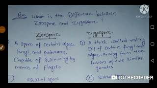 What is the difference between zoospore and zygospore [upl. by Eerat]