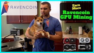 How To Mine Ravencoin  Best Wallet  Best RVN Miner  Increase Mining Profits [upl. by Asenav575]