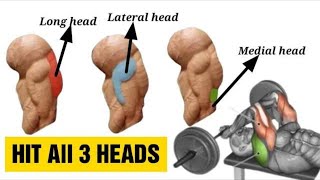 9 Best Triceps Workout for Every Head Hit all 3 heads  Fitkill [upl. by Akinimod185]