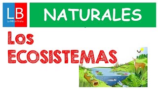 Los ECOSISTEMAS para niños ✔👩‍🏫 PRIMARIA [upl. by Frayda]