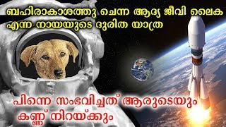 ബഹിരാകാശത്തു എത്തിയ ആദ്യ ജീവനുള്ള വസ്തു ലൈക എന്ന നായ  The Sad Story Of Laikha First Dog In Space [upl. by Bain]