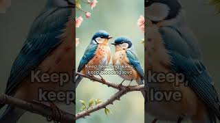 Leona Lewis  Bleeding Love Lyrics animals shorts birds lyrics [upl. by Maker]